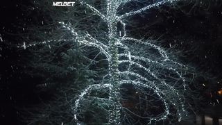 Рождественское Чудо (2020)