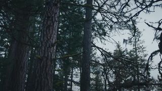 Simon Khorolskiy - И святые будут сиять