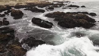 Нотки - Хай лине