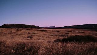 Чудо на 34-м шоссе (2020)