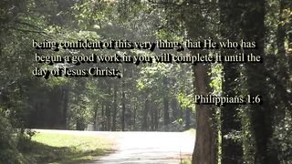 Цветок из рая 3 (2021)