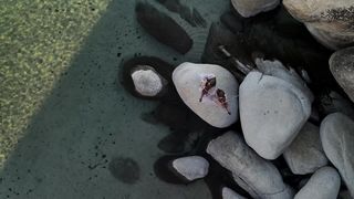 Сестри Кайдик - Відкрий своє серце