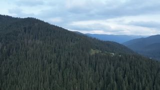 Skubenich Brothers - Всемогущий