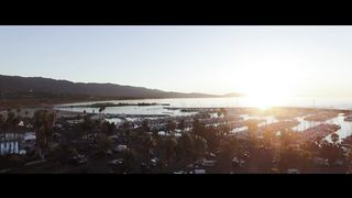 Спасённые (2019)