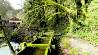 Господи Дай Мне Верности