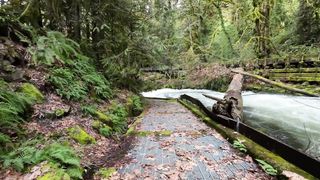 Господи Дай Мне Верности