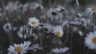 Рената Кравчук - Так Бог полюбив