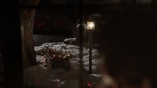 Різдвяний сніг (2010)