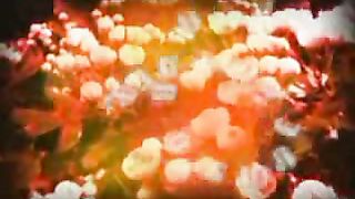 Джойс Майер - Сила и власть 2