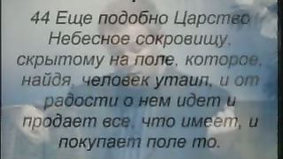 Александр Шевченко — Небесные сокровища