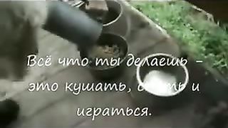 Клейтон МакДональд