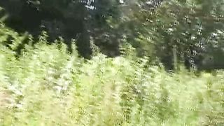 Русавуки - У Дороги С протянютой ручкой