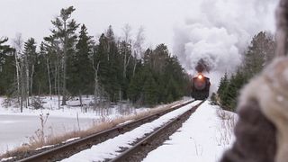 Железная воля (1993)