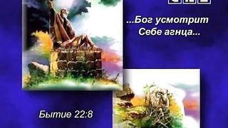 10 Удивительные факты - Великая Жертва I