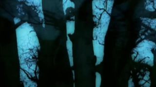 Под деревом зеленым (2005)