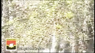 Максим Максимов - Видеть невидимое день 2