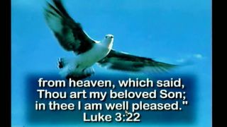 Walter Veith Haim hu benadam ragil Hebrew Pt 3