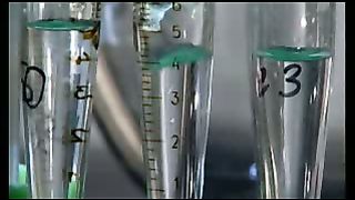 Проект Общее дело