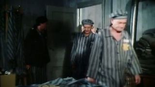 Холокост 1 (1978)