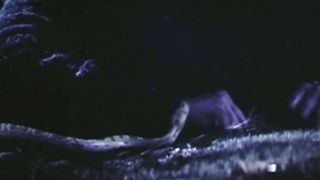 Марсель Давлетов - Ангел