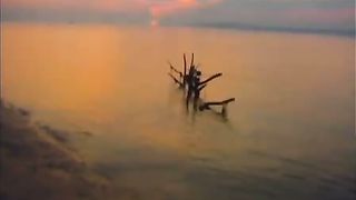 Виктор Клименко - Я люблю тебя, жизнь