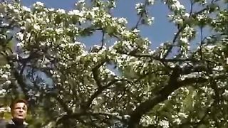 Виктор Клименко - Вербное воскресенье (Кто это там верхом?)