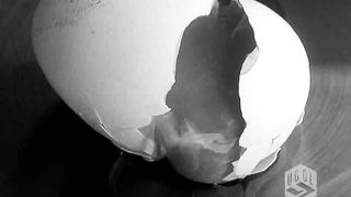 Угол - Демчук Тамара - Принять ребенка инвалида