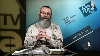 Михаэль Цин - Диетарные законы