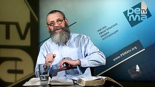 Михаэль Цин - Обетования земли и обязанности