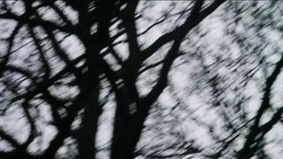 Отпущение грехов (1978)