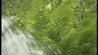 Твоє Життя Выпуск 49