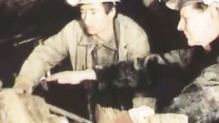 Твоє Життя Выпуск 66