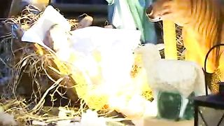 Твоє Життя Выпуск 71