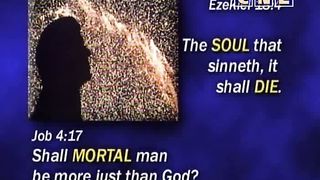 22 Удивительные факты - Волшебница Аэндора II