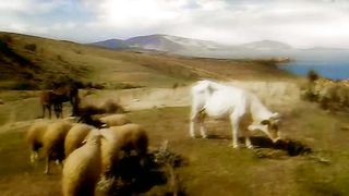 Помпеи (2007) 1