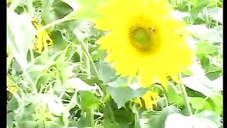 Твоє Життя Выпуск 90