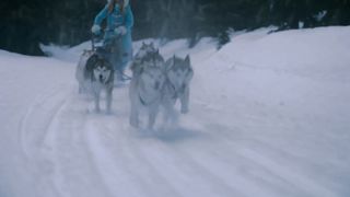 Снежная пятерка (2008)