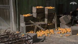 Потайные места (2006)