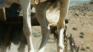 Пророк Иеремия: Обличитель царей (1998)