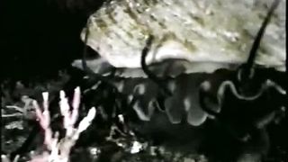 Биомиметика или как человек имитирует Божественную природу