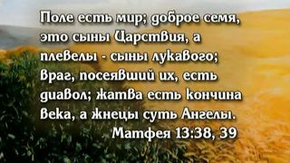 Открытая книга 5 - Откуда появилось зло