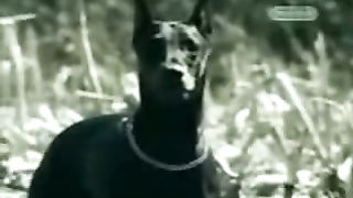 Апокалипсис Излучение 2010