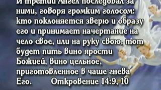 Открытая книга 7 - Срочное сообщение