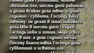 Открытая книга 8 - Свидетельство против эволюции