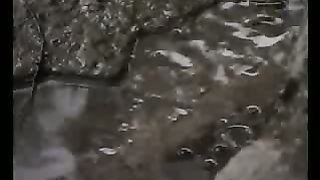 Твоє Життя Выпуск 115