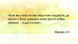 Филл Таттл - Четыре полюса воспитания 2