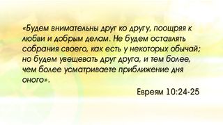 Филл Таттл - Четыре полюса воспитания 8