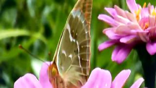 Вечерние рассказы Сотворение Мира