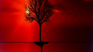 Вечерние рассказы Сотворение Мира