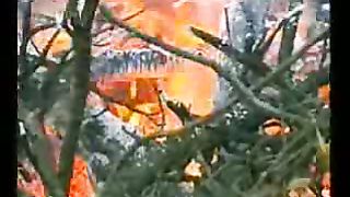 Свидетельства цыган Семья Марцинкевич